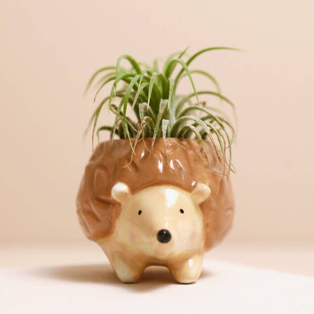 Lisa Angel - Tiny Hedgehog Airplant Holder