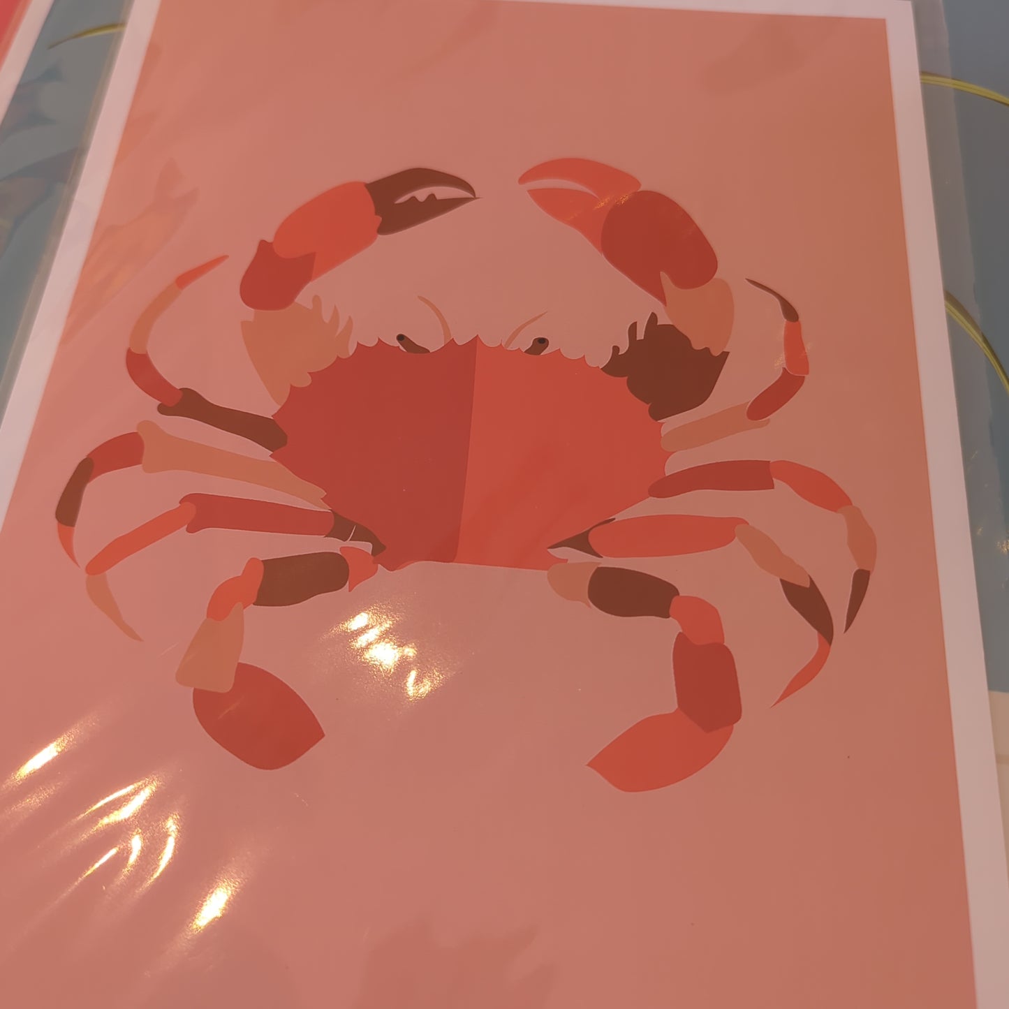 Red Crab A4 Print Pezzy Prints