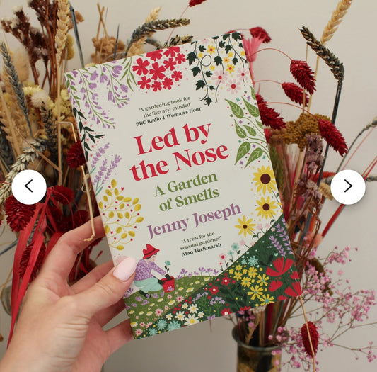 Led by the nose : a garden of smells book - Lydia Coventry