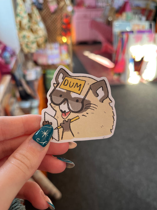 Holo dum raccoon sticker - illuroses