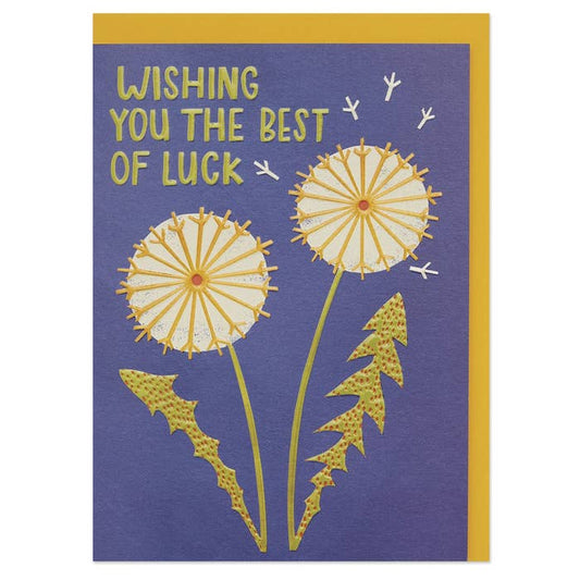 Raspberry Blossom - Wishing you the best luck' card