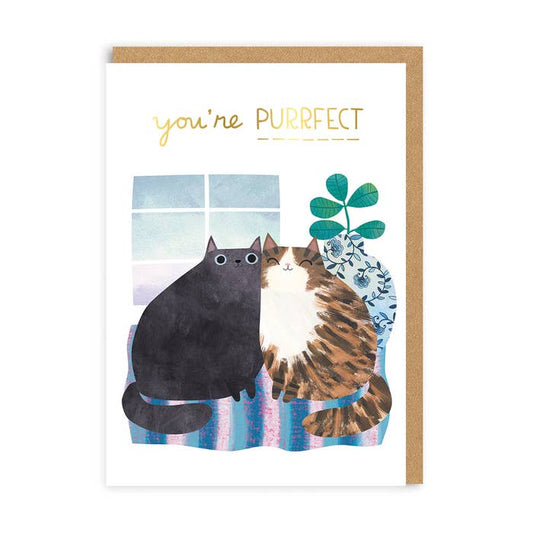 Ohh Deer UK + EU - Anniversary Cats Greeting Card