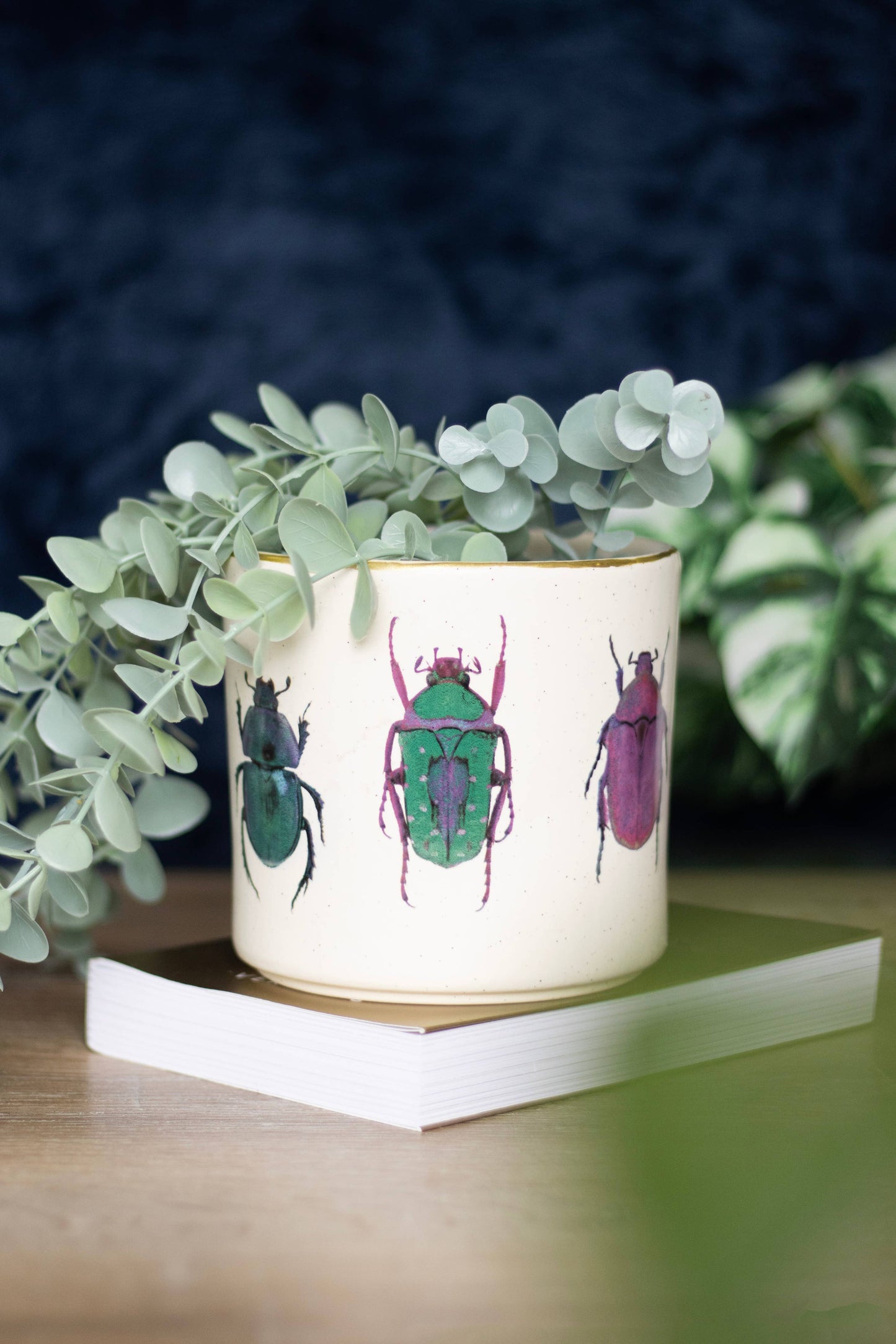 Something Different Wholesale - Off White Beetle Plant Pot