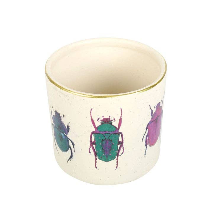 Something Different Wholesale - Off White Beetle Plant Pot