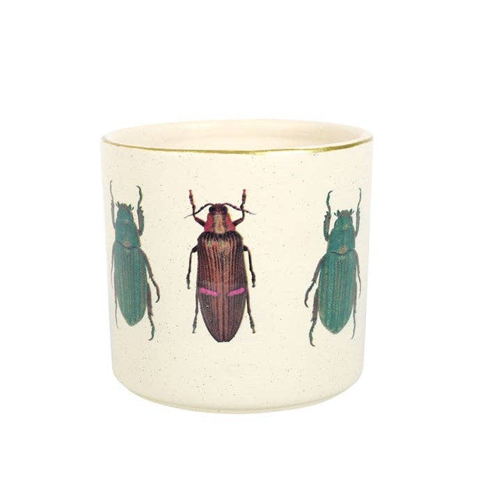 Something Different Wholesale - Off White Beetle Plant Pot