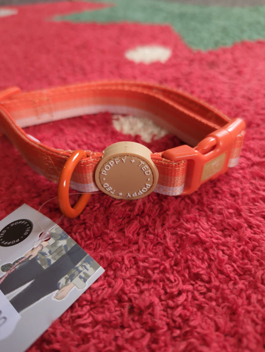 Poppy+Ted ombre dog collar (M)