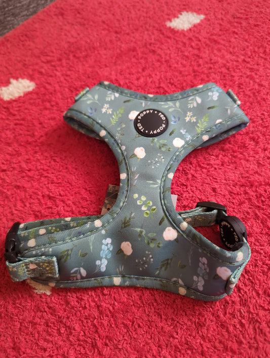 Poppy+Ted M dog harness