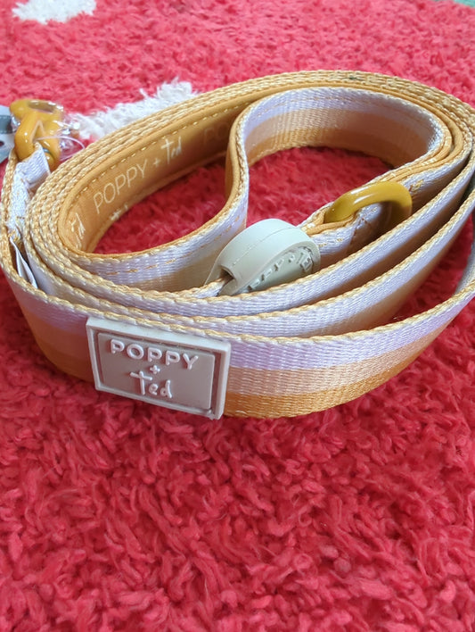 Poppy + Ted ombre dog lead