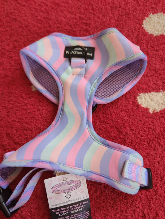 Pawsome boutique S dog harness