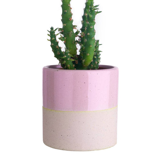 Ohh Deer UK + EU - Pink Dipped Mini Plant Pot