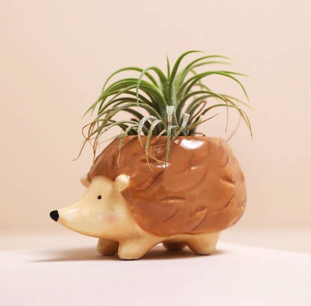 Lisa Angel - Tiny Hedgehog Airplant Holder