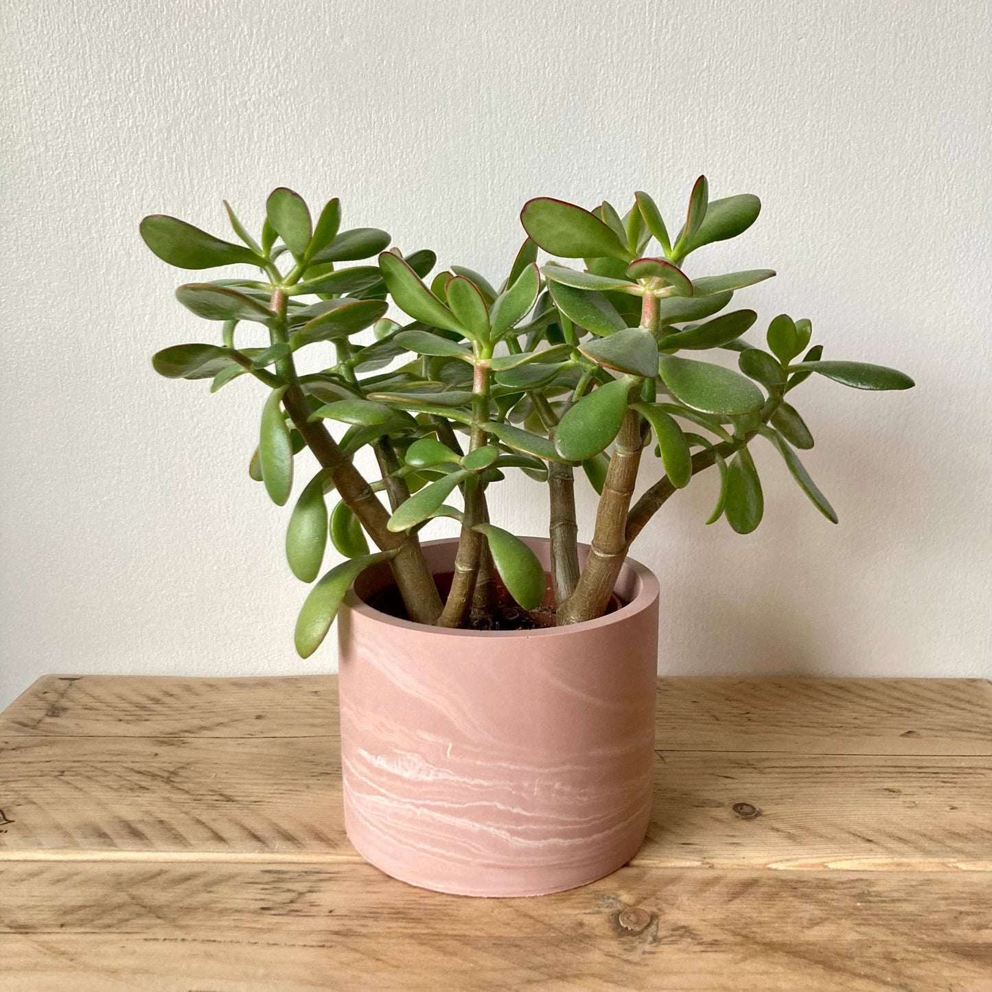 Piece by Jackson - Pink marbled indoor plant pot